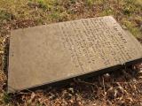 image of grave number 433087